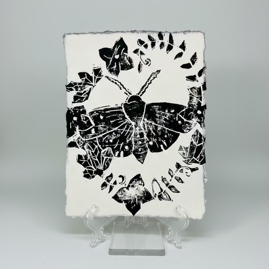 Dreamer Moth Print